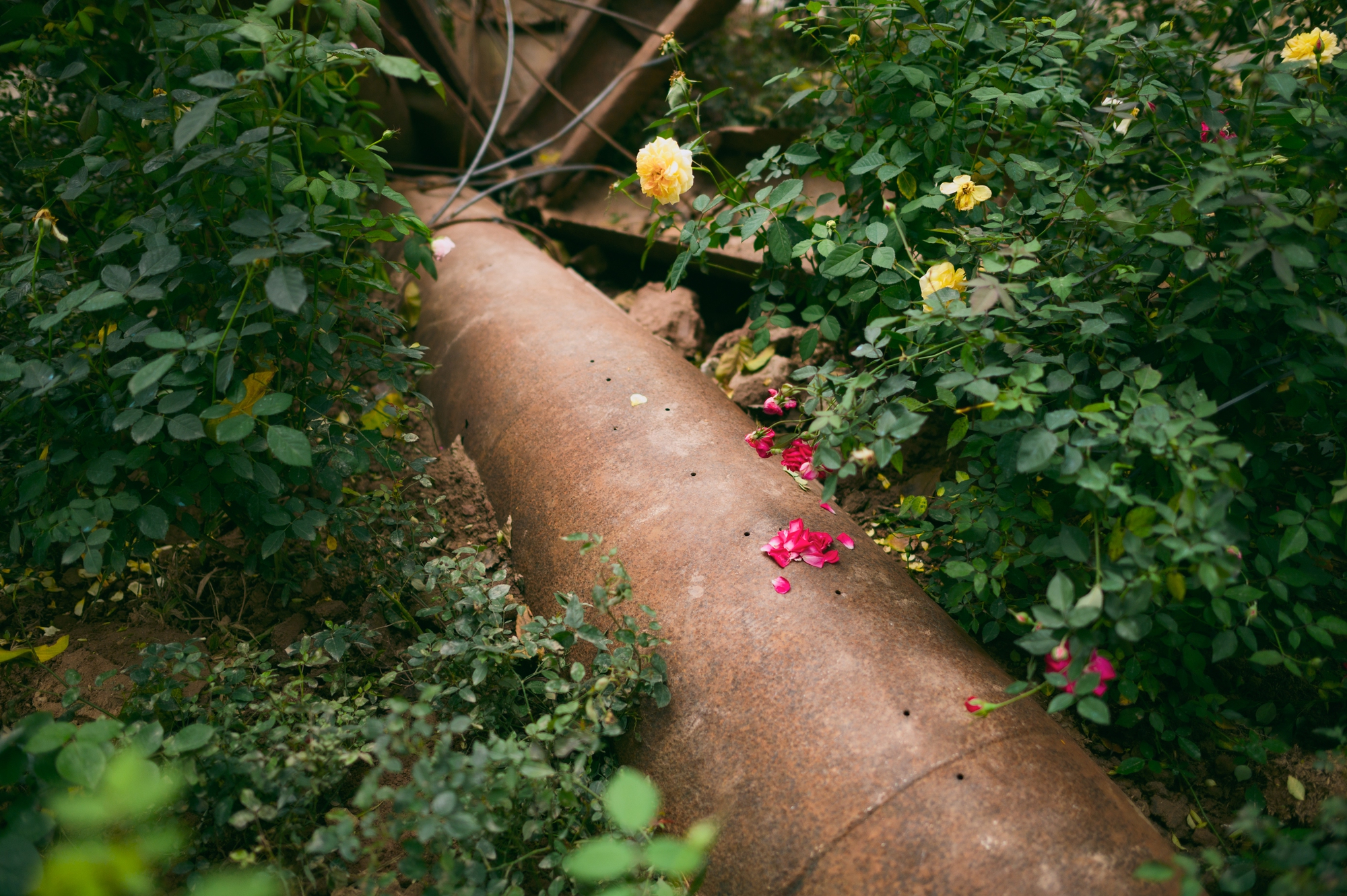 Đem cả x&aacute;c m&aacute;y bay v&agrave; vỏ bom ra trưng b&agrave;y, 2 kh&ocirc;ng gian nghệ thuật mới ở Bảo t&agrave;ng H&agrave; Nội khiến nhiều người nổi da g&agrave;- Ảnh 11.