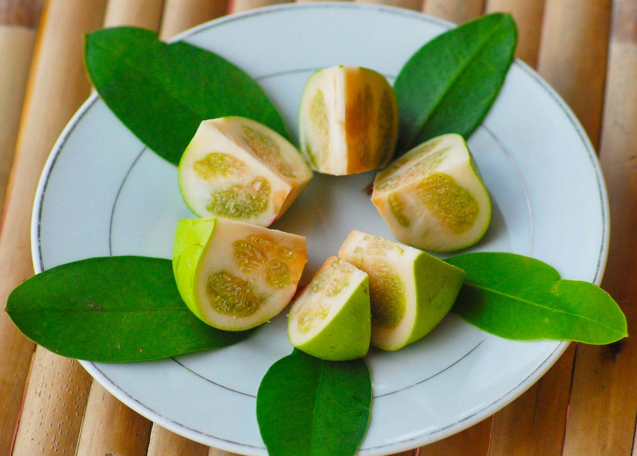 Loại quả "nghèo nhất Việt Nam" được dân tình thi nhau săn lùng- Ảnh 1. Loại quả "nghèo nhất Việt Nam" được dân tình thi nhau săn lùng- Ảnh 1.