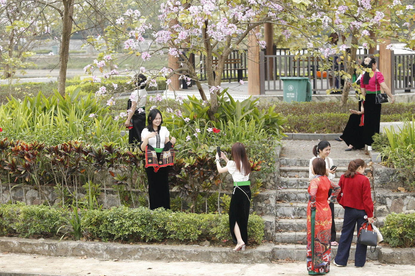 Hoa ban bung nở ngập tr&agrave;n Điện Bi&ecirc;n- Ảnh 15.