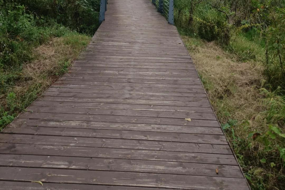 Bước v&agrave;o tuổi 40: T&ocirc;i "dọn dẹp" lại 10 th&oacute;i quen chi ti&ecirc;u v&agrave; tiết kiệm được hơn 1,1 tỷ đồng trong 5 năm- Ảnh 4.