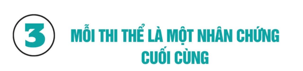 Nữ b&aacute;c sĩ &ldquo;phi&ecirc;n dịch&rdquo; cho người chết: Gi&uacute;p tử thi trở th&agrave;nh nh&acirc;n chứng cuối c&ugrave;ng "n&oacute;i ra" sự thật- Ảnh 5.
