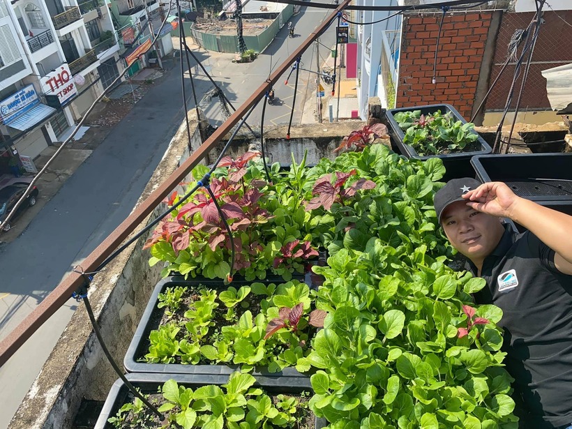 Cận cảnh khu vườn "2 trong 1" tr&ecirc;n tầng 5, nu&ocirc;i c&aacute; trồng rau kh&eacute;p k&iacute;n, thu hoạch cả nửa tạ dưa lưới- Ảnh 1.