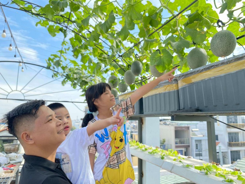 Cận cảnh khu vườn "2 trong 1" tr&ecirc;n tầng 5, nu&ocirc;i c&aacute; trồng rau kh&eacute;p k&iacute;n, thu hoạch cả nửa tạ dưa lưới- Ảnh 2.