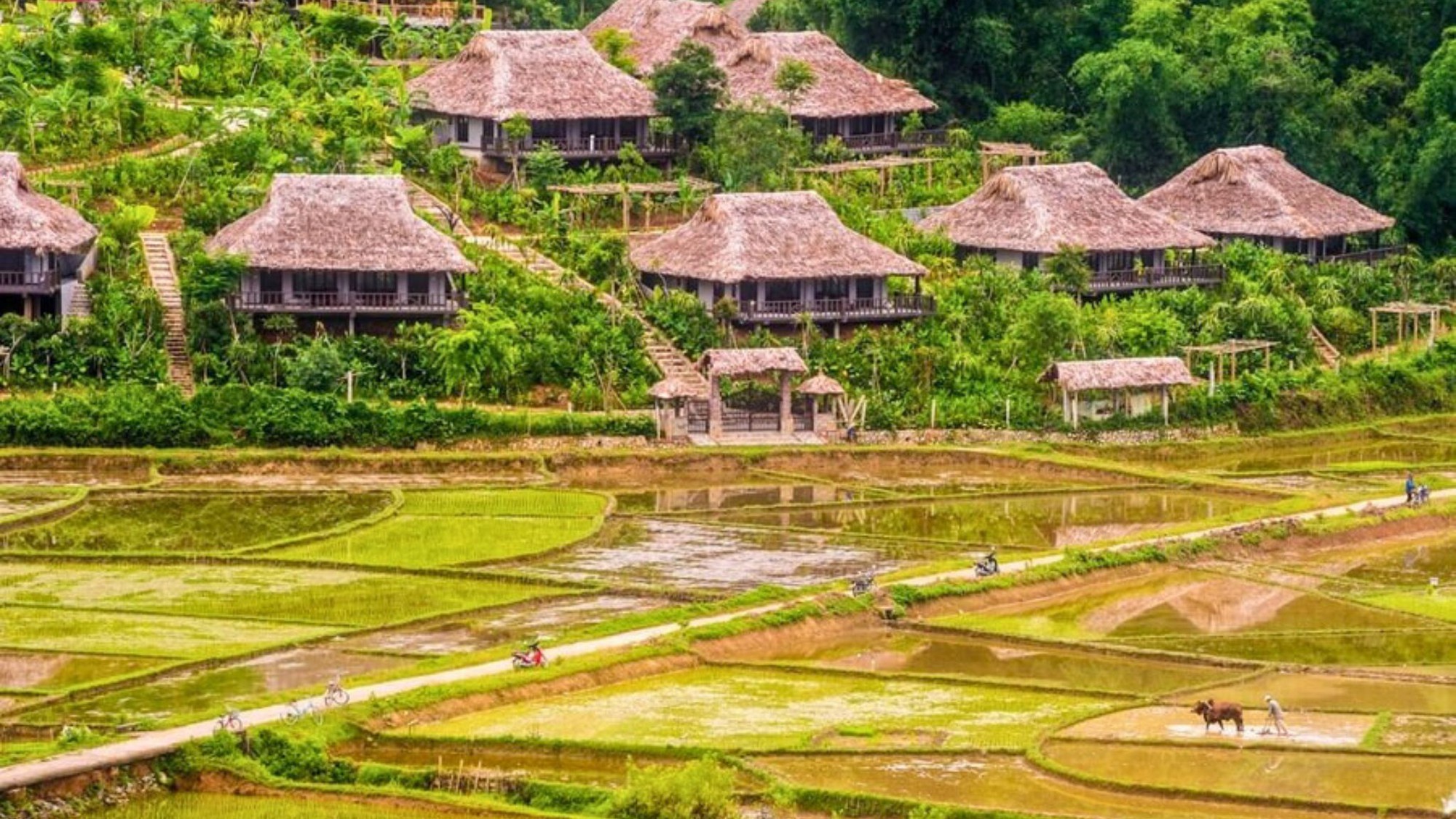 Giải thưởng Traveller Review Awards 2026: C&ocirc;ng bố những điểm đến hiếu kh&aacute;ch nhất Việt Nam- Ảnh 2.