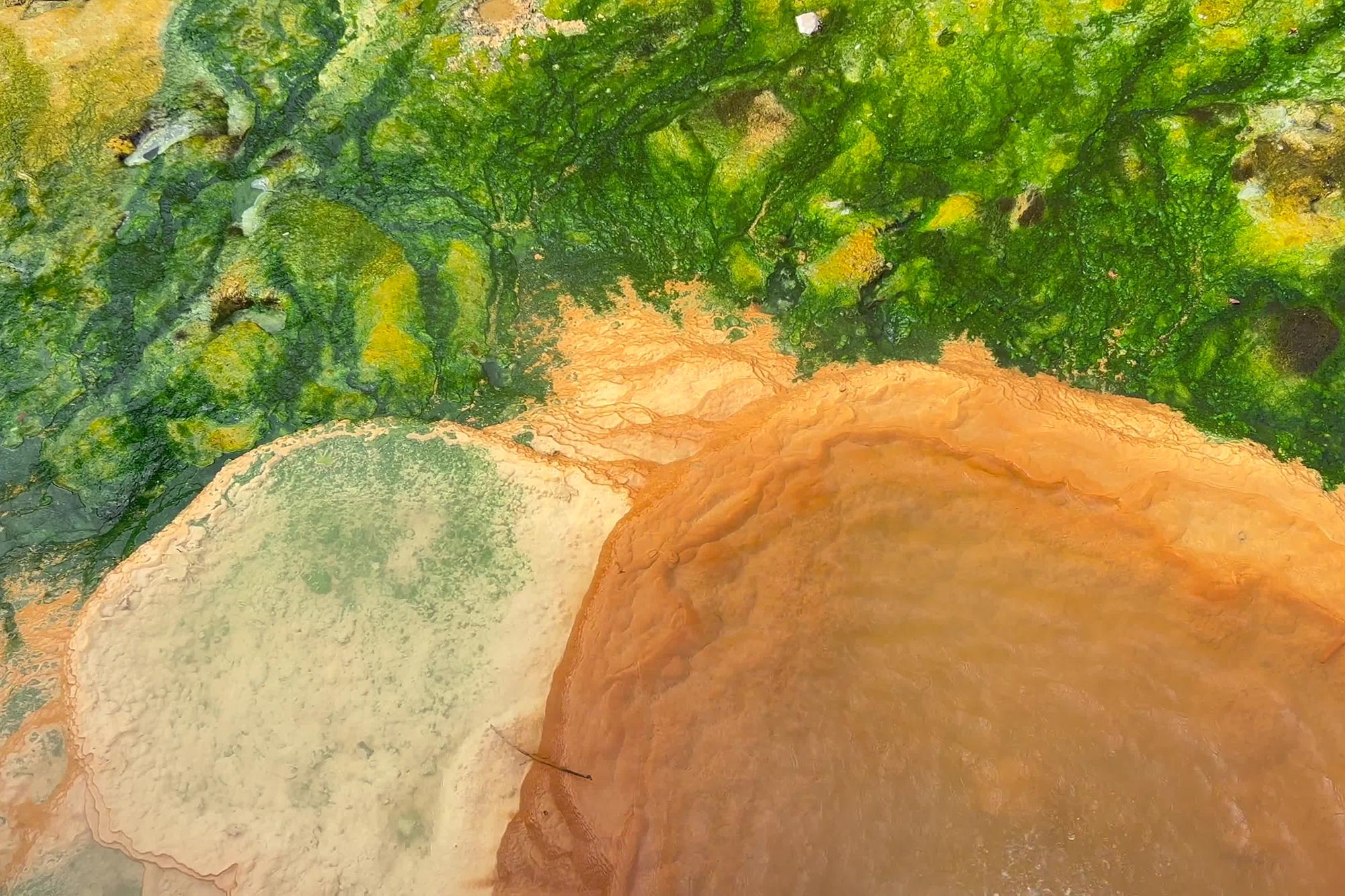 "Tử địa" ở Nhật Bản h&eacute; lộ manh mối về sự sống ngo&agrave;i h&agrave;nh tinh- Ảnh 1.