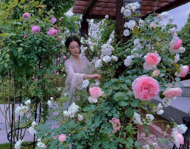 Minh tinh - sĩ quan đặc c&ocirc;ng n&ecirc;n duy&ecirc;n nhờ show nhập ngũ: 