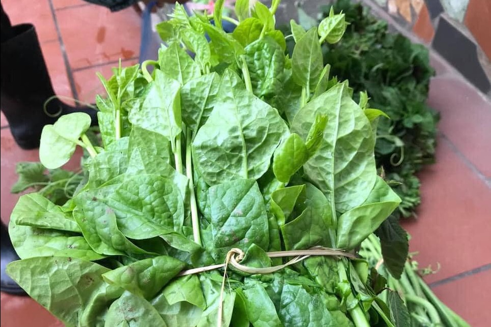 5 loại rau "bổ hơn thịt, rẻ hơn thuốc", b&aacute;n đầy rẫy ở chợ Việt- Ảnh 4.
