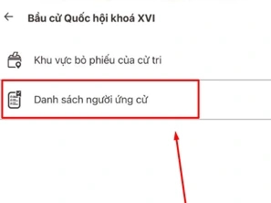 C&aacute;ch tra cứu khu vực bỏ phiếu, danh s&aacute;ch ứng cử vi&ecirc;n đại biểu Quốc hội ngay tr&ecirc;n VNeID- Ảnh 3.