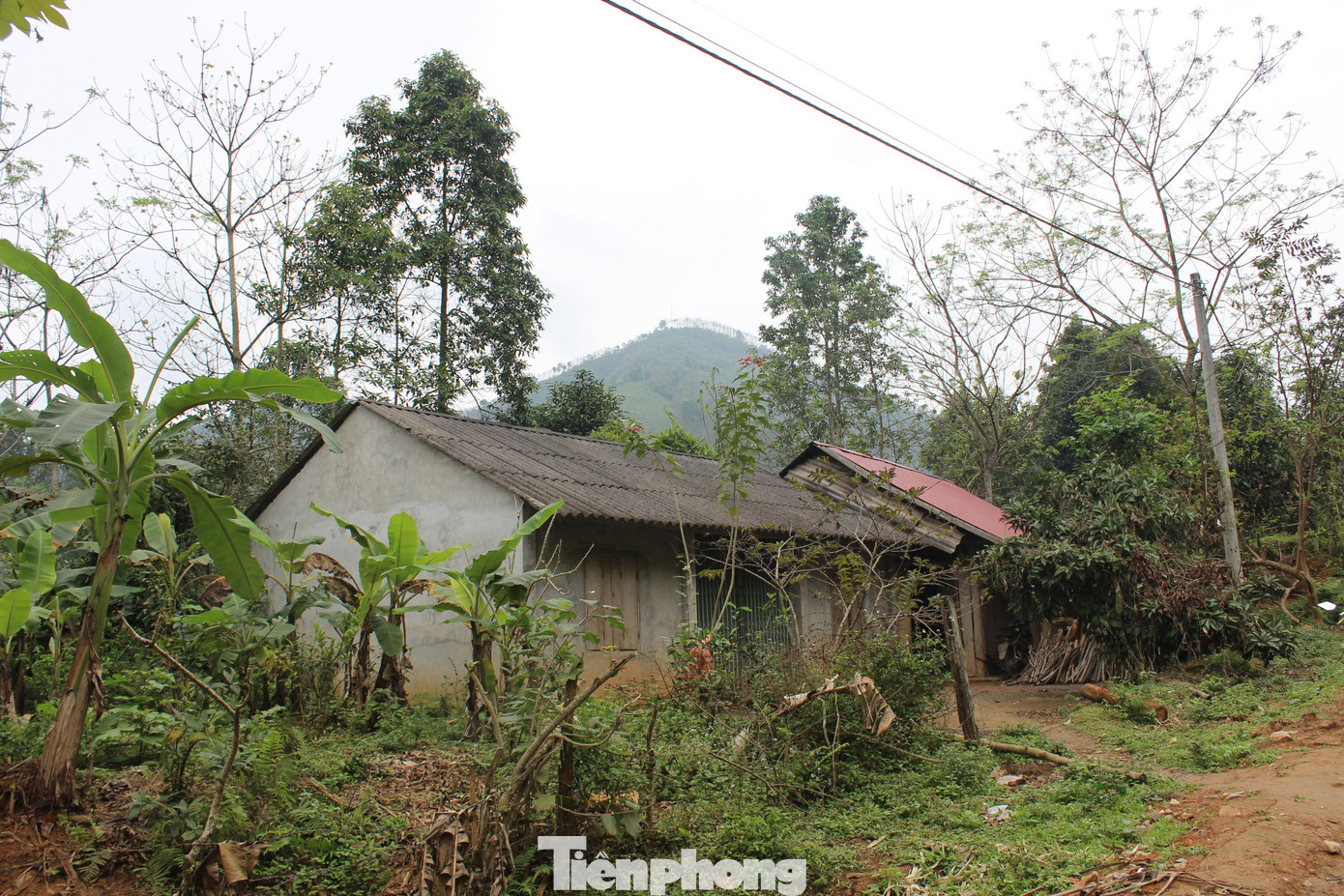 Cụ b&agrave; 111 tuổi ở Ph&uacute; Thọ minh mẫn hiếm c&oacute;, hằng ng&agrave;y tự chăm s&oacute;c bản th&acirc;n- Ảnh 3.