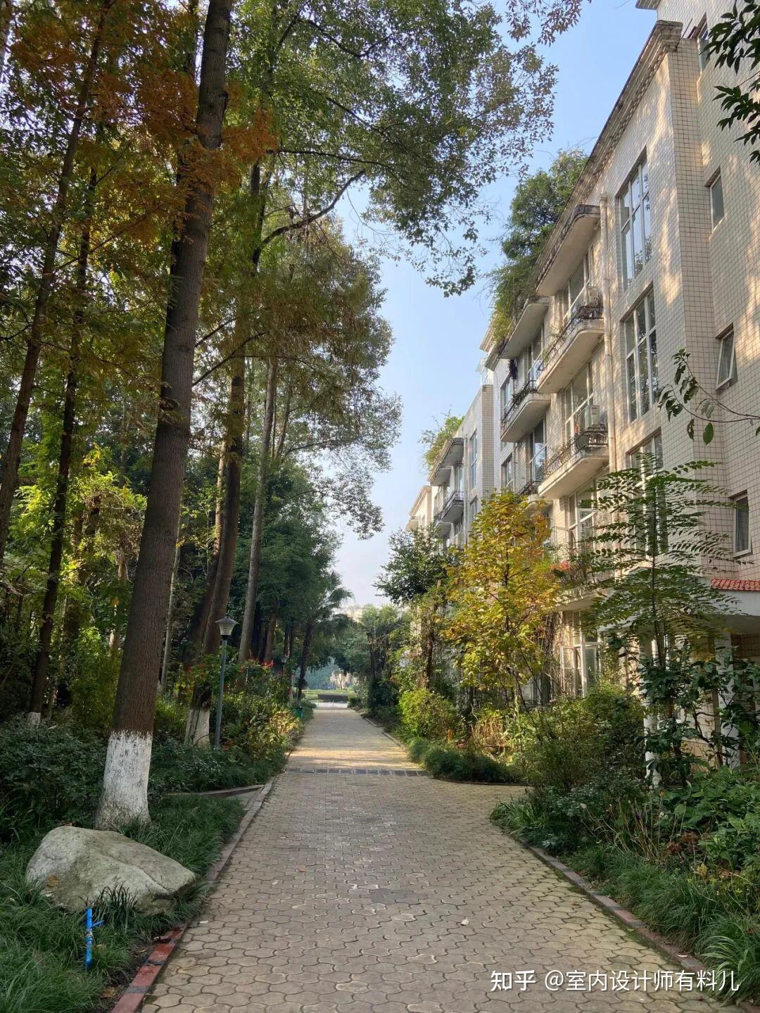 Ba năm sống ở tầng 33 khiến t&ocirc;i phải b&aacute;n nh&agrave;, chuyển xuống tầng 3 khu nh&agrave; tập thể mới thấy cuộc sống dễ chịu hơn- Ảnh 4.