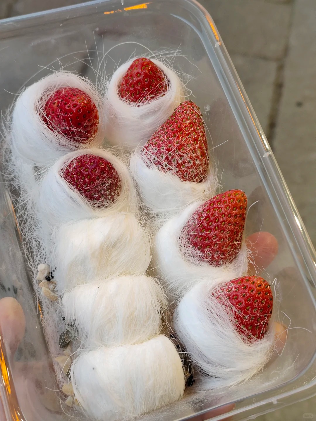 Ở v&ugrave;ng n&agrave;y c&oacute; m&oacute;n kẹo tơ sen lạ l&ugrave;ng: H&oacute;a ra lại l&agrave; thức qu&agrave; tuổi thơ lớn c&ugrave;ng bao người d&acirc;n Việt!- Ảnh 10.