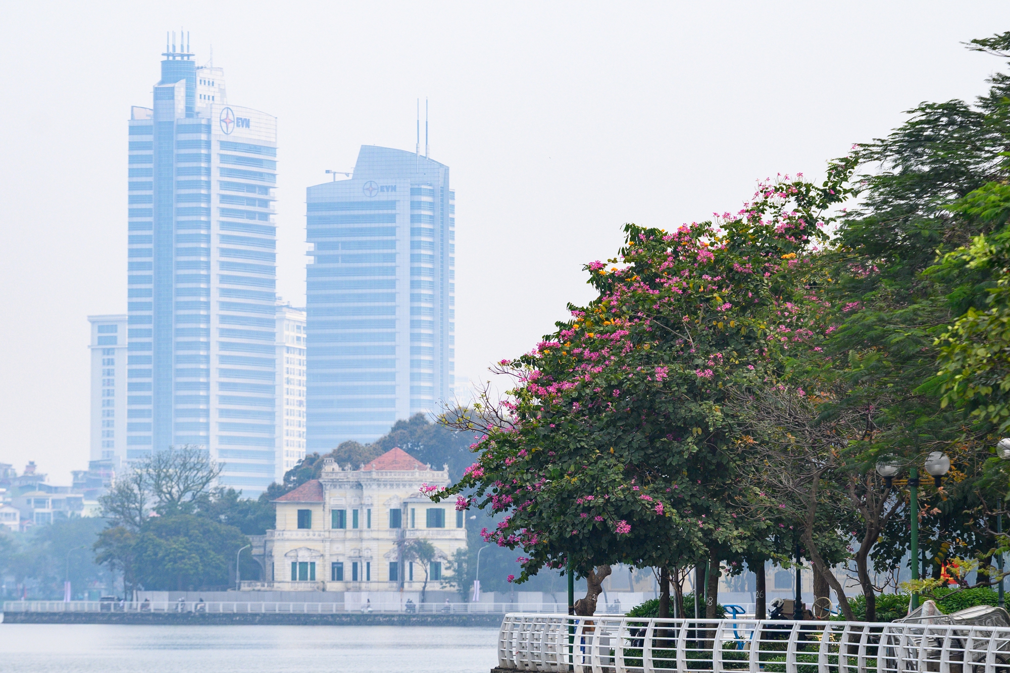 Cả H&agrave; Nội ph&aacute;t sốt v&igrave; những c&acirc;y hoa n&agrave;y: Chỗ đẹp như ng&ocirc;n t&igrave;nh, nơi đ&atilde; x&aacute;c xơ - đi nhầm ph&iacute; c&ocirc;ng v&ocirc; &iacute;ch!- Ảnh 16.