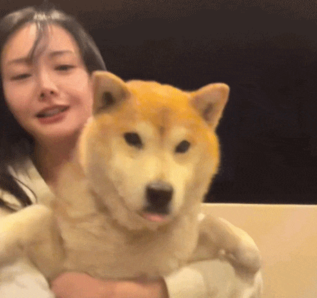 Kh&oacute; tin nổi đ&acirc;y l&agrave; Trịnh Sảng sau khi &ldquo;dao k&eacute;o&rdquo; to&agrave;n bộ gương mặt- Ảnh 4.