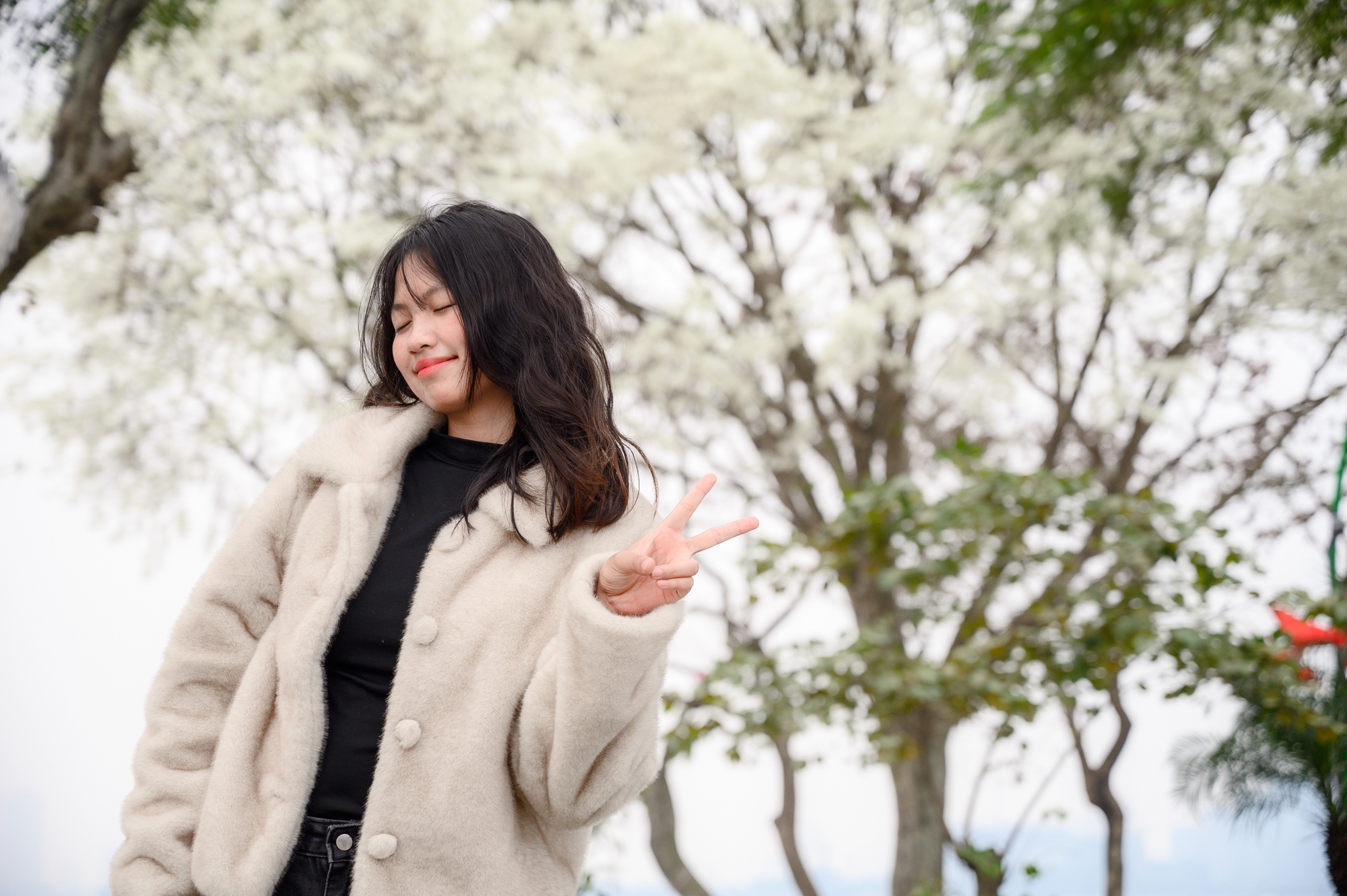 Cả H&agrave; Nội ph&aacute;t sốt v&igrave; những c&acirc;y hoa n&agrave;y: Chỗ đẹp như ng&ocirc;n t&igrave;nh, nơi đ&atilde; x&aacute;c xơ - đi nhầm ph&iacute; c&ocirc;ng v&ocirc; &iacute;ch!- Ảnh 7.