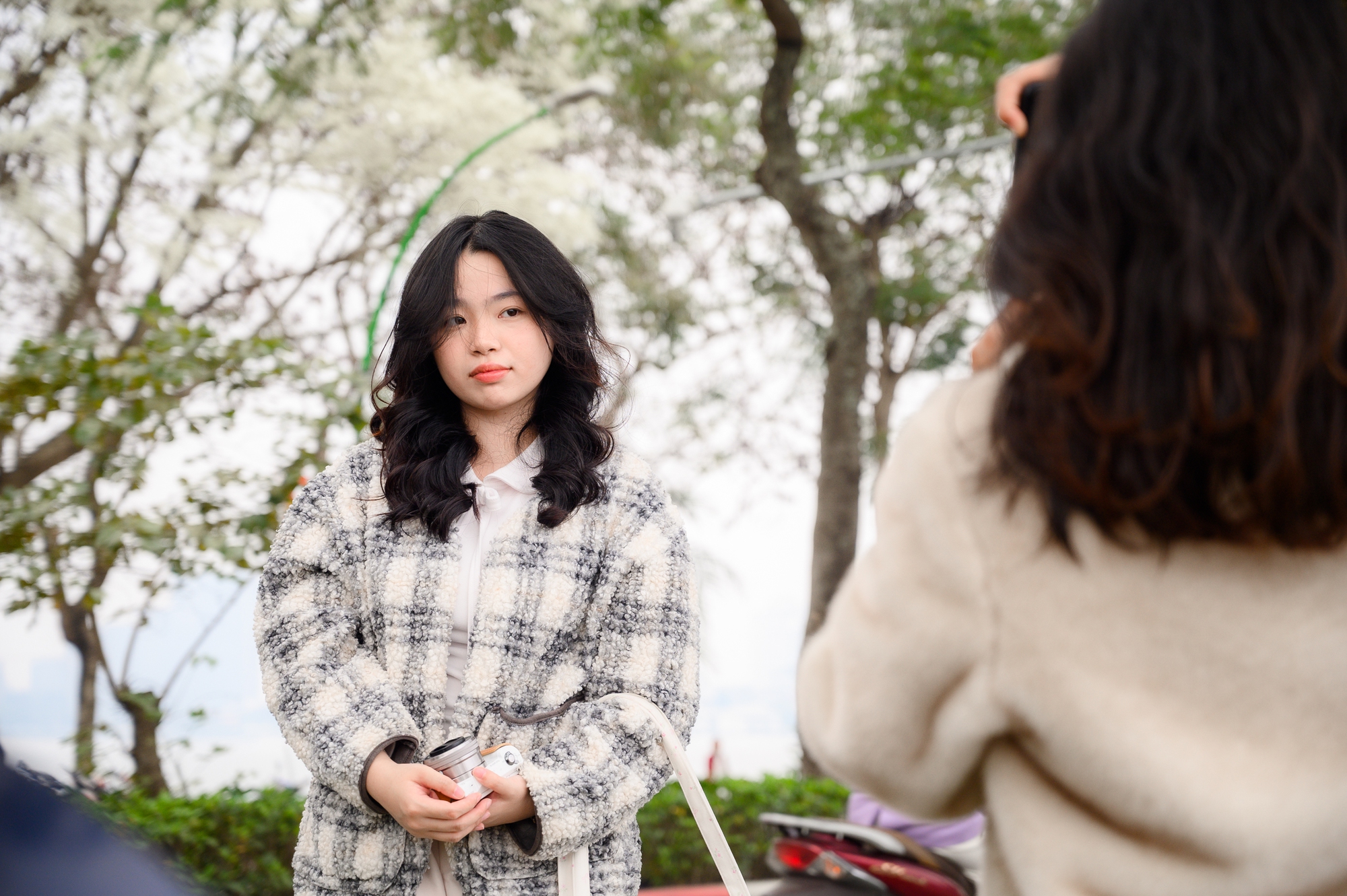 Cả H&agrave; Nội ph&aacute;t sốt v&igrave; những c&acirc;y hoa n&agrave;y: Chỗ đẹp như ng&ocirc;n t&igrave;nh, nơi đ&atilde; x&aacute;c xơ - đi nhầm ph&iacute; c&ocirc;ng v&ocirc; &iacute;ch!- Ảnh 8.