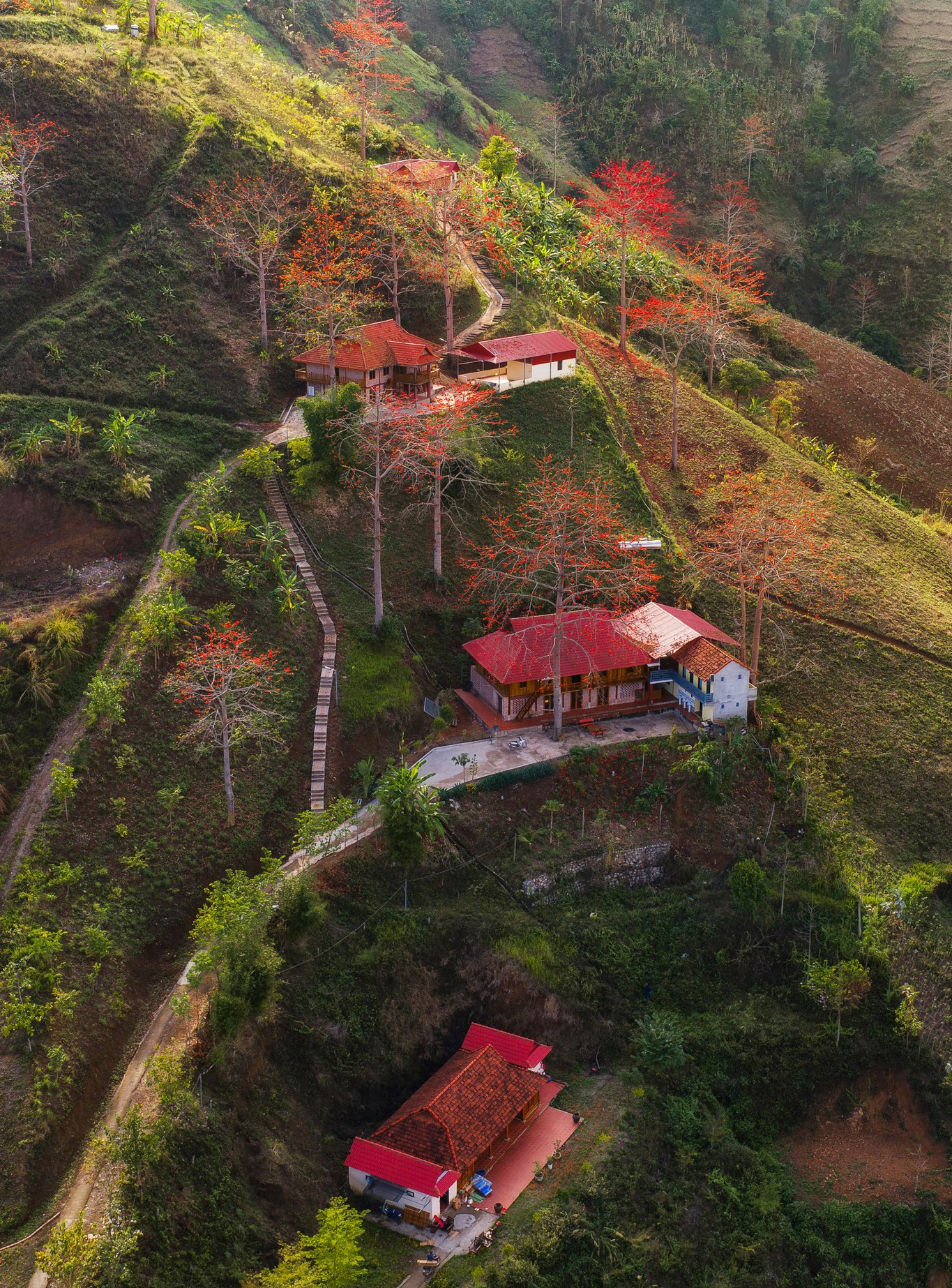 Hoa gạo 'thắp lửa' khắp n&uacute;i rừng T&acirc;y Bắc- Ảnh 8.