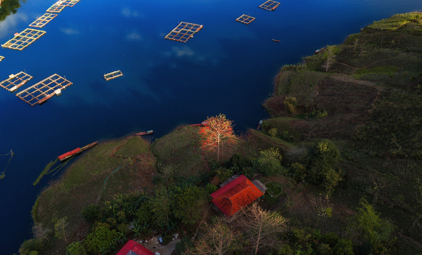 Hoa gạo 'thắp lửa' khắp n&uacute;i rừng T&acirc;y Bắc- Ảnh 10.