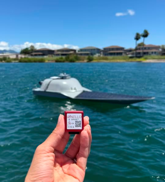 Một hiện tượng lạ xảy ra tr&ecirc;n to&agrave;n cầu: T&iacute;nh năng "ai cũng c&oacute;" tr&ecirc;n điện thoại bị v&ocirc; hiệu h&oacute;a ở nhiều nơi- Ảnh 4.