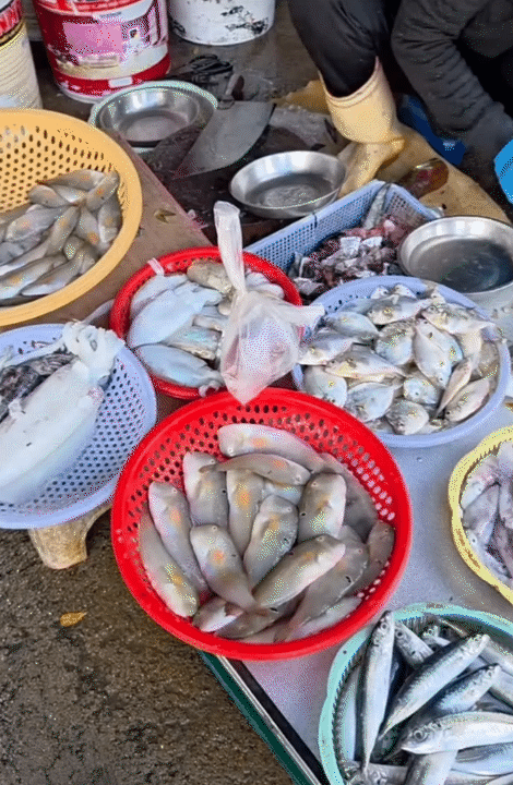 15 năm ở H&agrave; Nội, chuyển v&agrave;o Nha Trang sống: Mẹ 1 con n&oacute;i thật về chi ph&iacute; v&agrave; giấc mơ &ldquo;đổi th&agrave;nh phố&rdquo;- Ảnh 5.