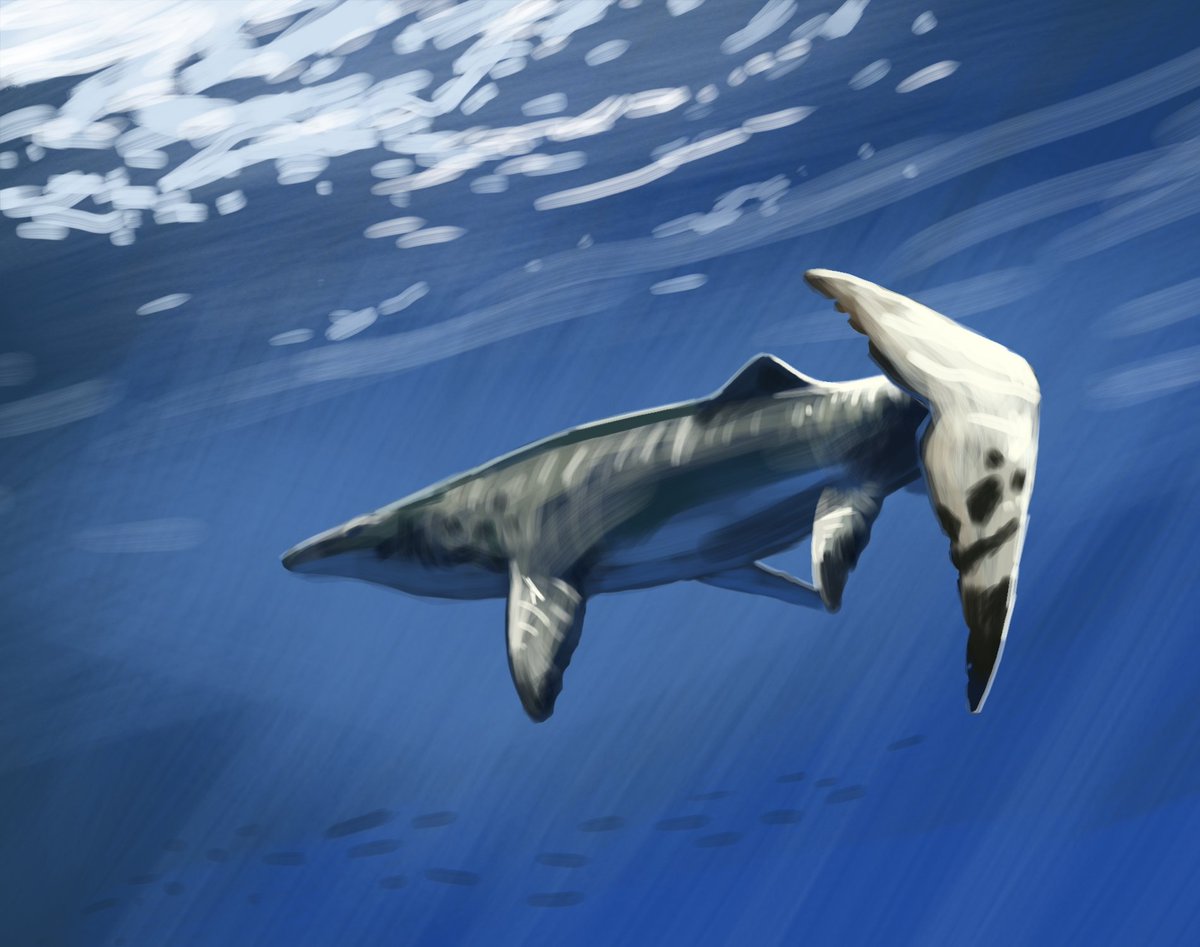 Thủy qu&aacute;i d&agrave;i 9 m&eacute;t xuất hiện giữa mỏ phốt ph&aacute;t- Ảnh 1.