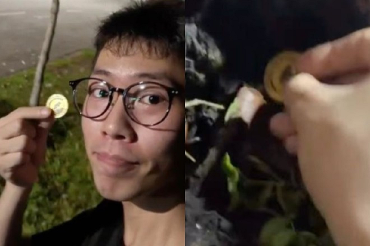 Nhặt được v&agrave;ng dưới gốc c&acirc;y, ch&agrave;ng trai sốc khi đổi ngay 5 tỷ- Ảnh 1.