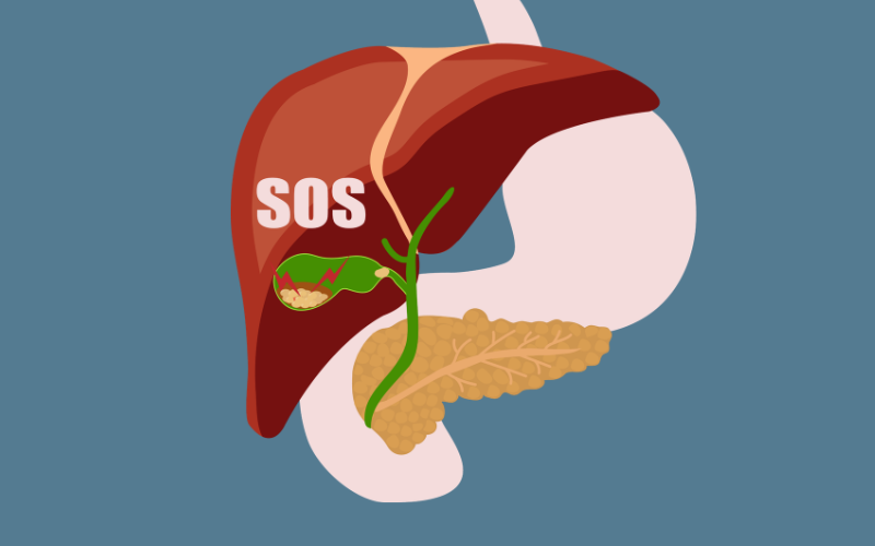 H&igrave;nh minh họa: Canva