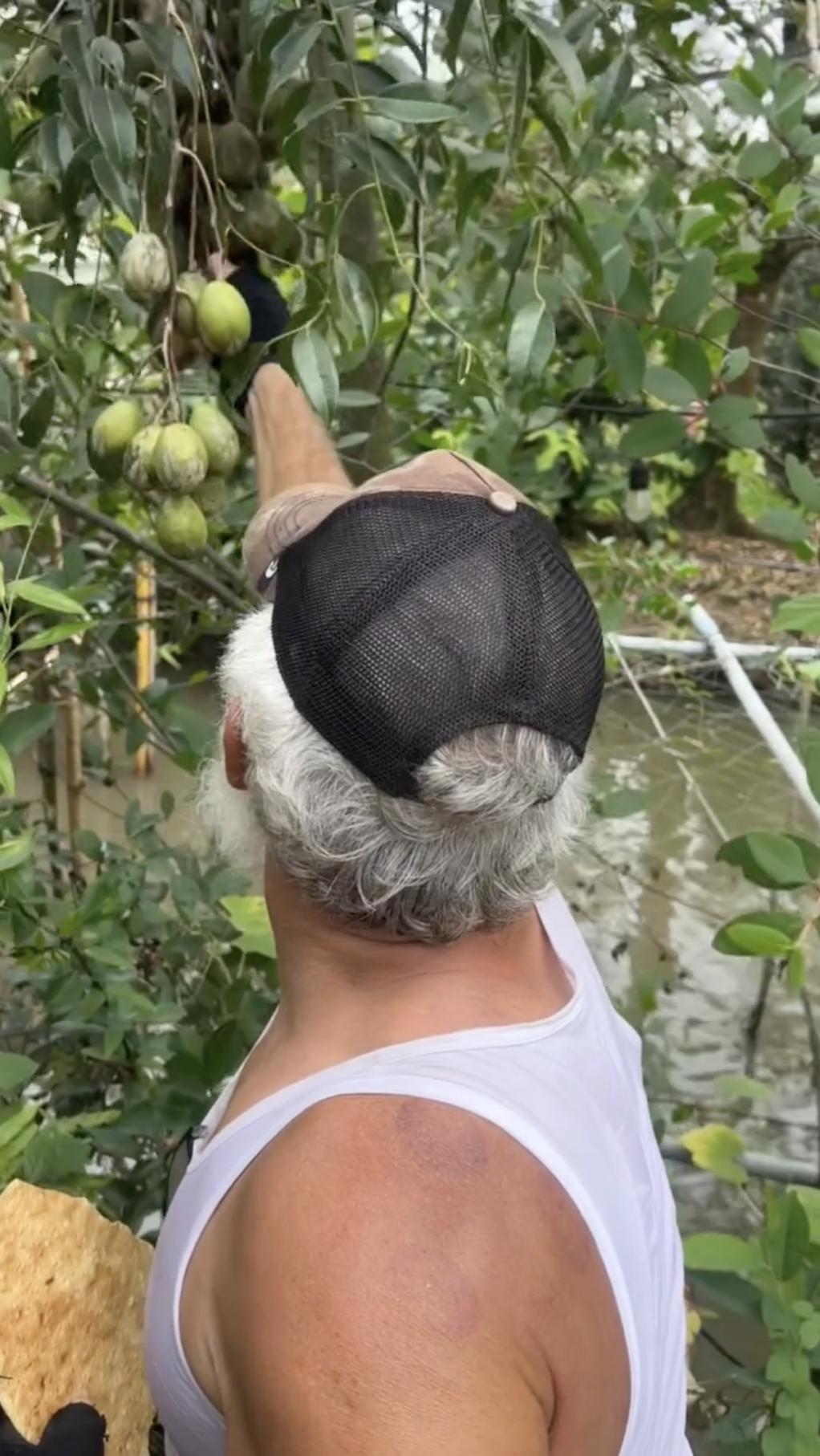 Kh&aacute;ch T&acirc;y tấp v&agrave;o nh&agrave; d&acirc;n Đồng Th&aacute;p ăn uống no say rồi may đồ trả c&ocirc;ng- Ảnh 6.