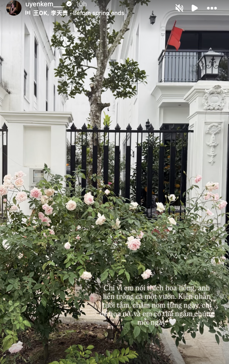 Vợ chồng Th&agrave;nh Chung - Tố Uy&ecirc;n sống cuộc đời như ng&ocirc;n t&igrave;nh: X&acirc;y biệt thự mấy chục tỷ cho vợ ở, c&ograve;n tự tay trồng cả vườn hoa hồng chỉ v&igrave; vợ th&iacute;ch ngắm hoa- Ảnh 1.