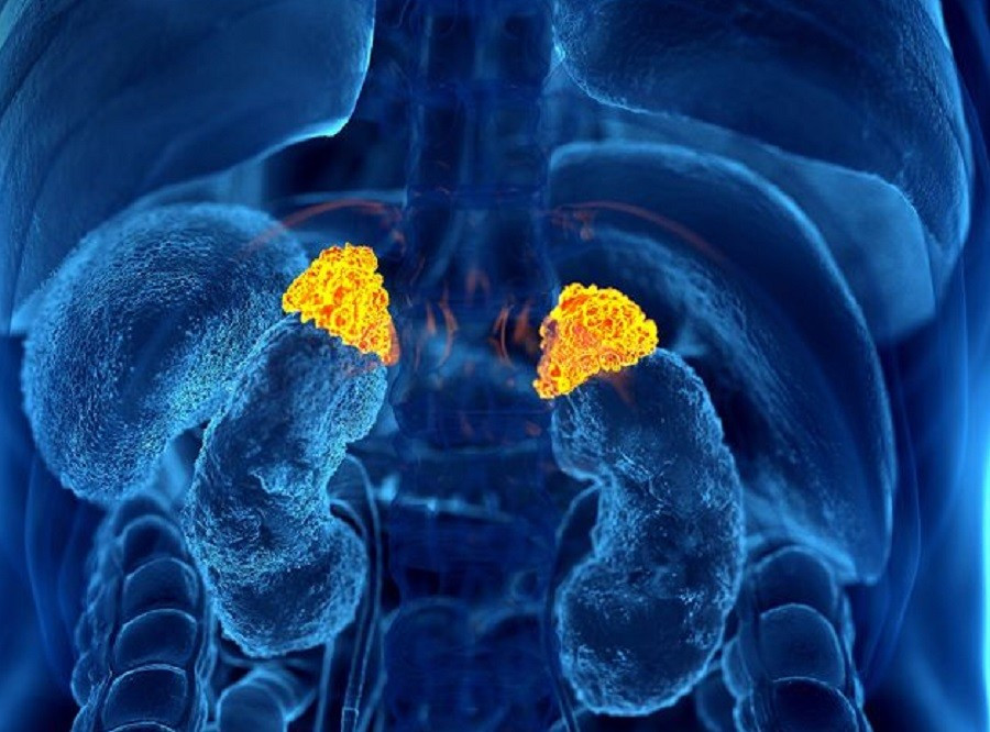 Cảnh b&aacute;o hiểm họa từ loại thuốc 'uống v&agrave;o l&agrave; đỡ' khi đau nhức- Ảnh 1.