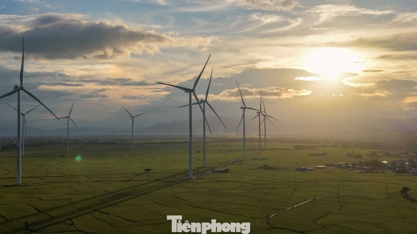 Đẹp lịm tim ho&agrave;ng h&ocirc;n ở c&aacute;nh đồng điện gi&oacute;- Ảnh 11.