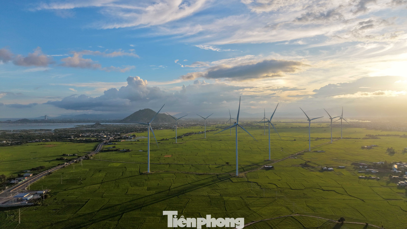 Đẹp lịm tim ho&agrave;ng h&ocirc;n ở c&aacute;nh đồng điện gi&oacute;- Ảnh 12.