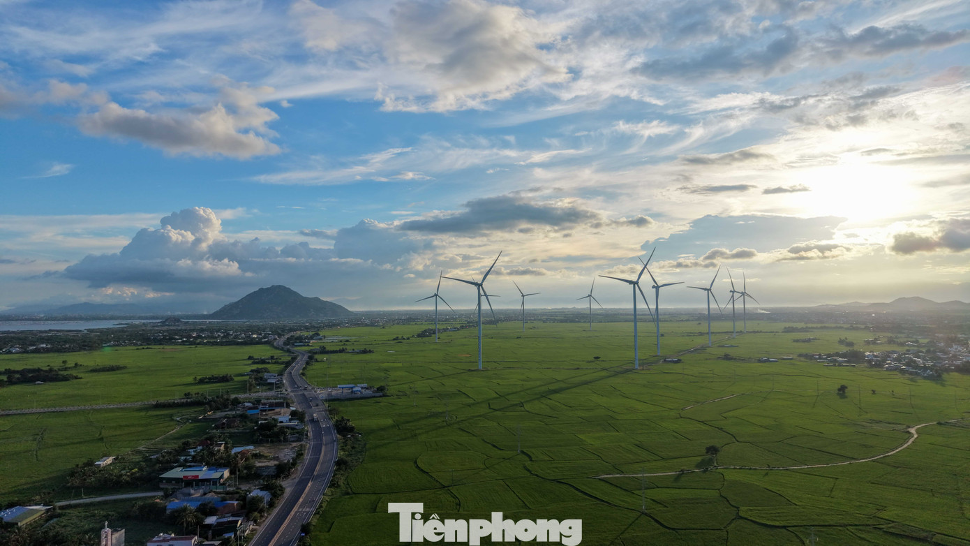 Đẹp lịm tim ho&agrave;ng h&ocirc;n ở c&aacute;nh đồng điện gi&oacute;- Ảnh 5.