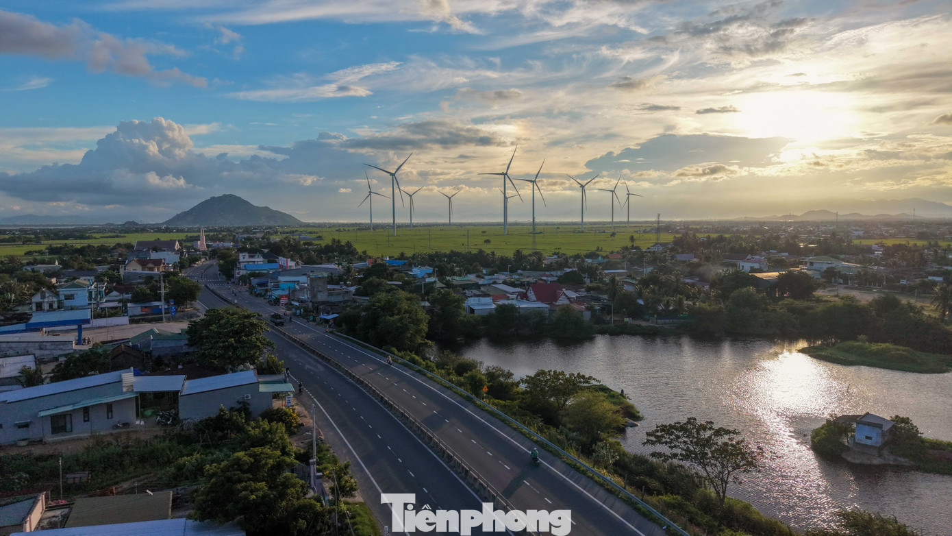 Đẹp lịm tim ho&agrave;ng h&ocirc;n ở c&aacute;nh đồng điện gi&oacute;- Ảnh 3.