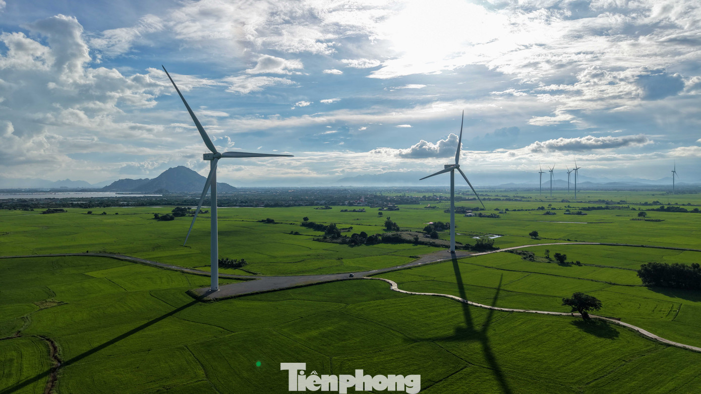 Đẹp lịm tim ho&agrave;ng h&ocirc;n ở c&aacute;nh đồng điện gi&oacute;- Ảnh 4.