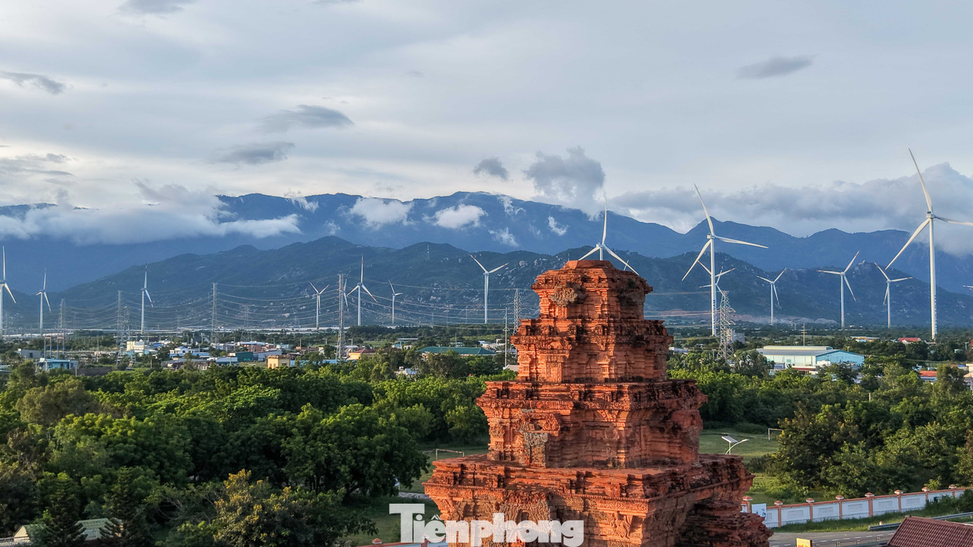 Đẹp lịm tim ho&agrave;ng h&ocirc;n ở c&aacute;nh đồng điện gi&oacute;- Ảnh 14.