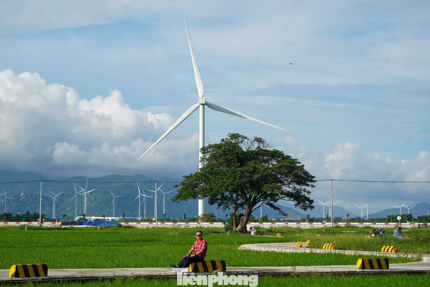 Đẹp lịm tim ho&agrave;ng h&ocirc;n ở c&aacute;nh đồng điện gi&oacute;- Ảnh 8.