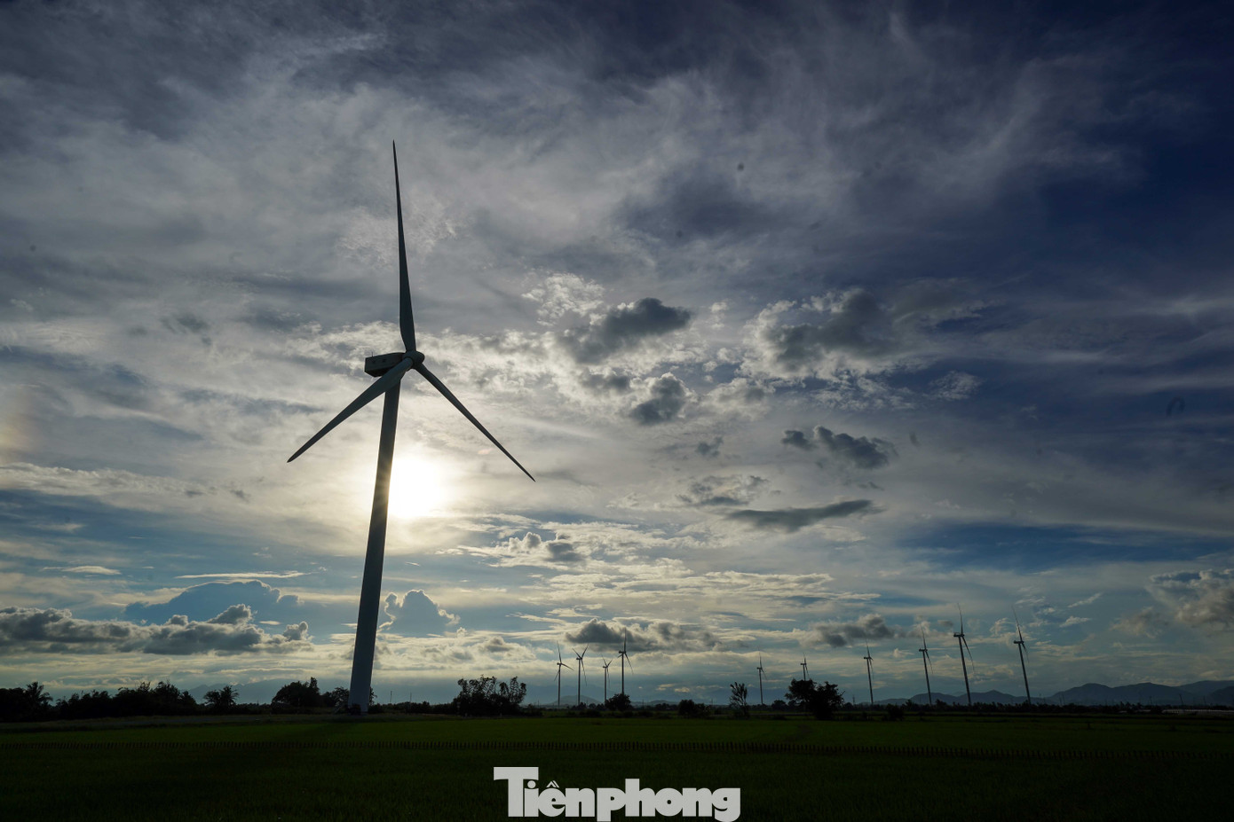 Đẹp lịm tim ho&agrave;ng h&ocirc;n ở c&aacute;nh đồng điện gi&oacute;- Ảnh 10.