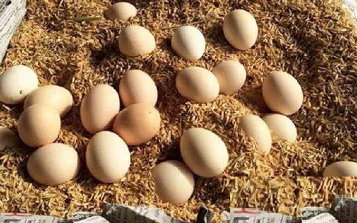 Kh&ocirc;ng cần tủ lạnh vẫn giữ trứng g&agrave; tươi l&acirc;u - Mẹo đơn giản &iacute;t người biết