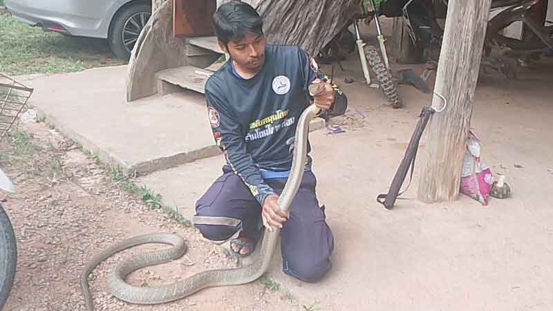 Nghe tiếng động bất thường dưới nắp xe, người đàn ông mở ra rồi kinh hoàng phát hiện 'bóng đen' dài 3 mét- Ảnh 3. Nghe tiếng động bất thường dưới nắp xe, người đàn ông mở ra rồi kinh hoàng phát hiện 'bóng đen' dài 3 mét- Ảnh 3.