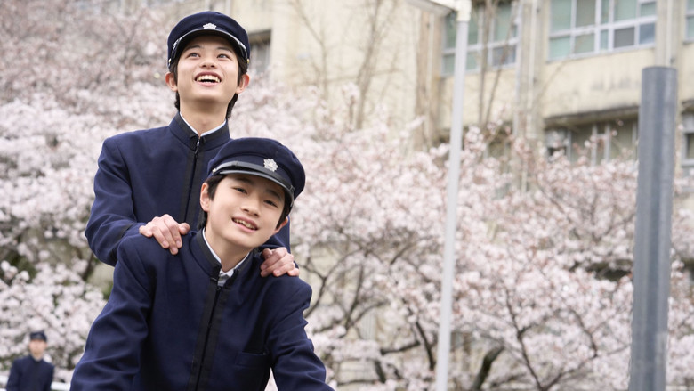 Bom tấn 3400 tỷ đang viral khắp MXH Việt: Nam ch&iacute;nh đẹp đến &aacute;m ảnh, cả phim kh&ocirc;ng ch&ecirc; nổi cảnh n&agrave;o- Ảnh 2.