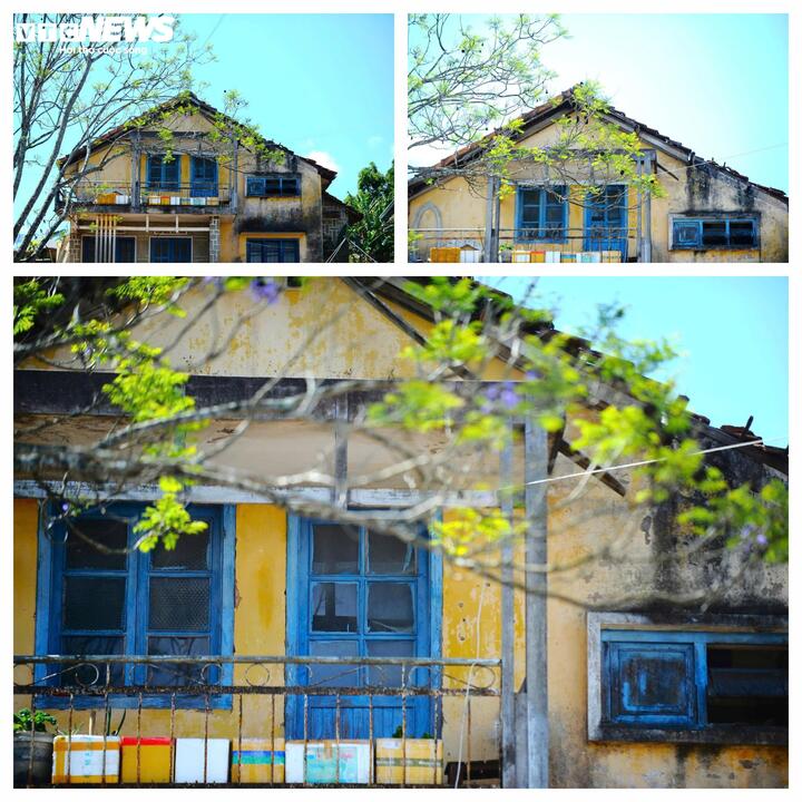 Cận cảnh biệt thự, khu nh&agrave; đất "v&agrave;ng" bỏ hoang, l&atilde;ng ph&iacute; ở &ETH;&agrave; Lạt- Ảnh 6.