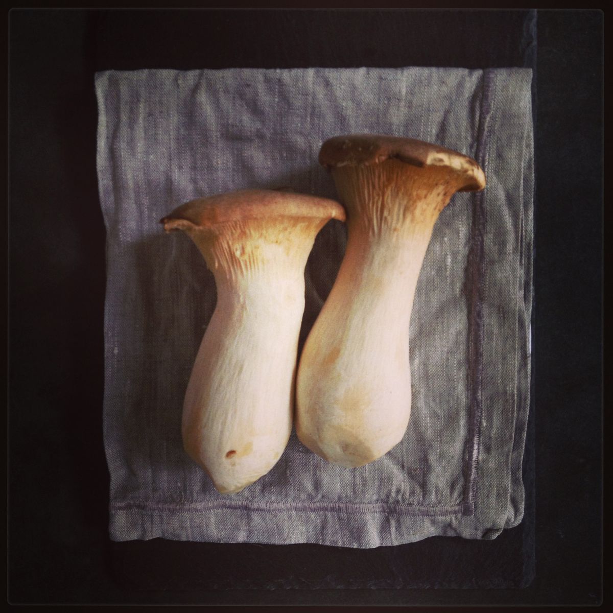 &ldquo;B&agrave;o ngư chay&rdquo; được giới ăn l&agrave;nh y&ecirc;u th&iacute;ch, kh&ocirc;ng chỉ gi&uacute;p bạn tăng miễn dịch m&agrave; c&ograve;n giữ d&aacute;ng dễ d&agrave;ng- Ảnh 1.