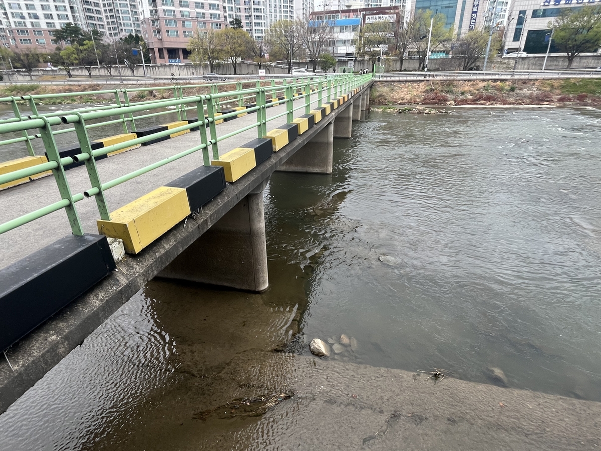 Vụ vali chứa thi thể ở trung t&acirc;m th&agrave;nh phố: Bắt giữ con g&aacute;i v&agrave; con rể nạn nh&acirc;n- Ảnh 1.