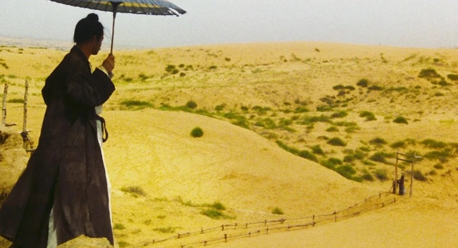 Ng&agrave;y 1/4 năm n&agrave;o, c&oacute; lo&agrave;i chim kh&ocirc;ng ch&acirc;n Trương Quốc Vinh vỗ c&aacute;nh bay về tự do- Ảnh 8.