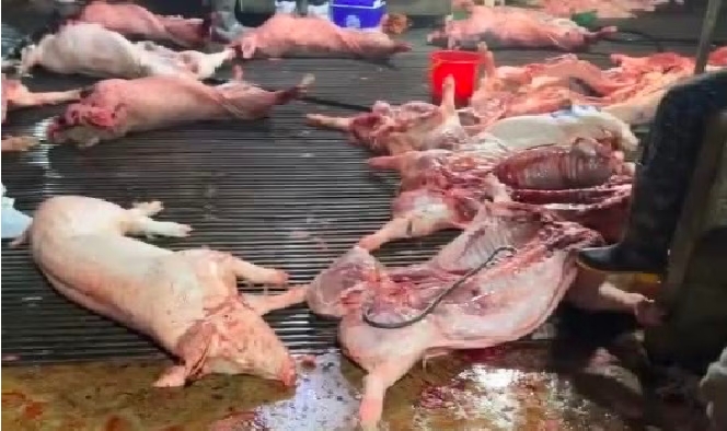 Thịt lợn bệnh "đầu độc" học sinh: Người lớn đừng tranh nhau nhận m&igrave;nh l&agrave; "nạn nh&acirc;n" nữa, tốt nhất h&atilde;y l&agrave;m ngay điều n&agrave;y!- Ảnh 1.