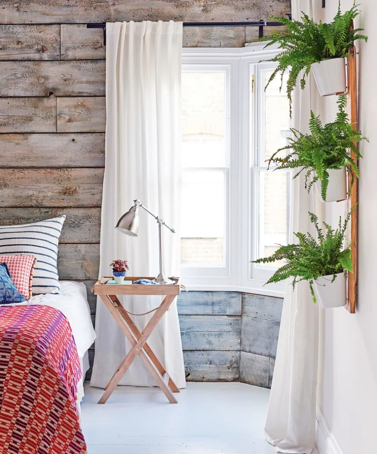 5 loại c&acirc;y cảnh kh&ocirc;ng n&ecirc;n mua kẻo ph&iacute; tiền, ph&iacute; sức- Ảnh 1.