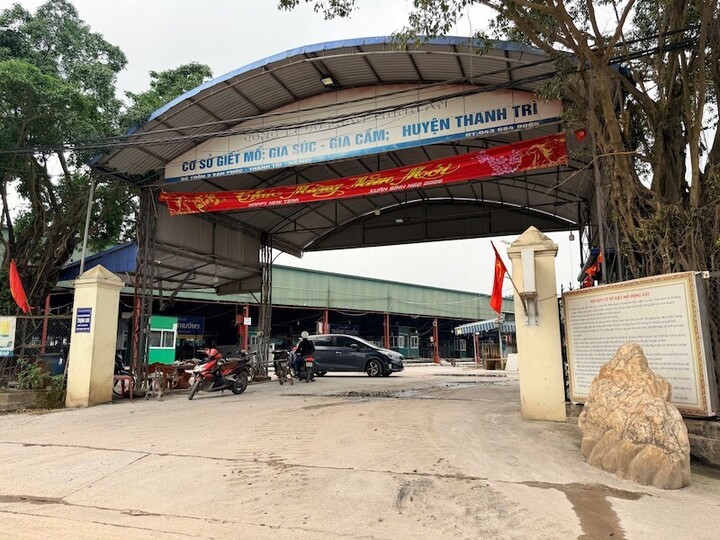 Vụ 300 tấn lợn bệnh tuồn v&agrave;o bếp ăn trường học: C&aacute;n bộ kiểm dịch "ra gi&aacute;" thế n&agrave;o?- Ảnh 1.