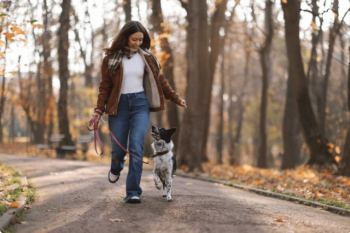 Đi bộ s&aacute;ng hay tối tốt cho huyết &aacute;p?- Ảnh 2.