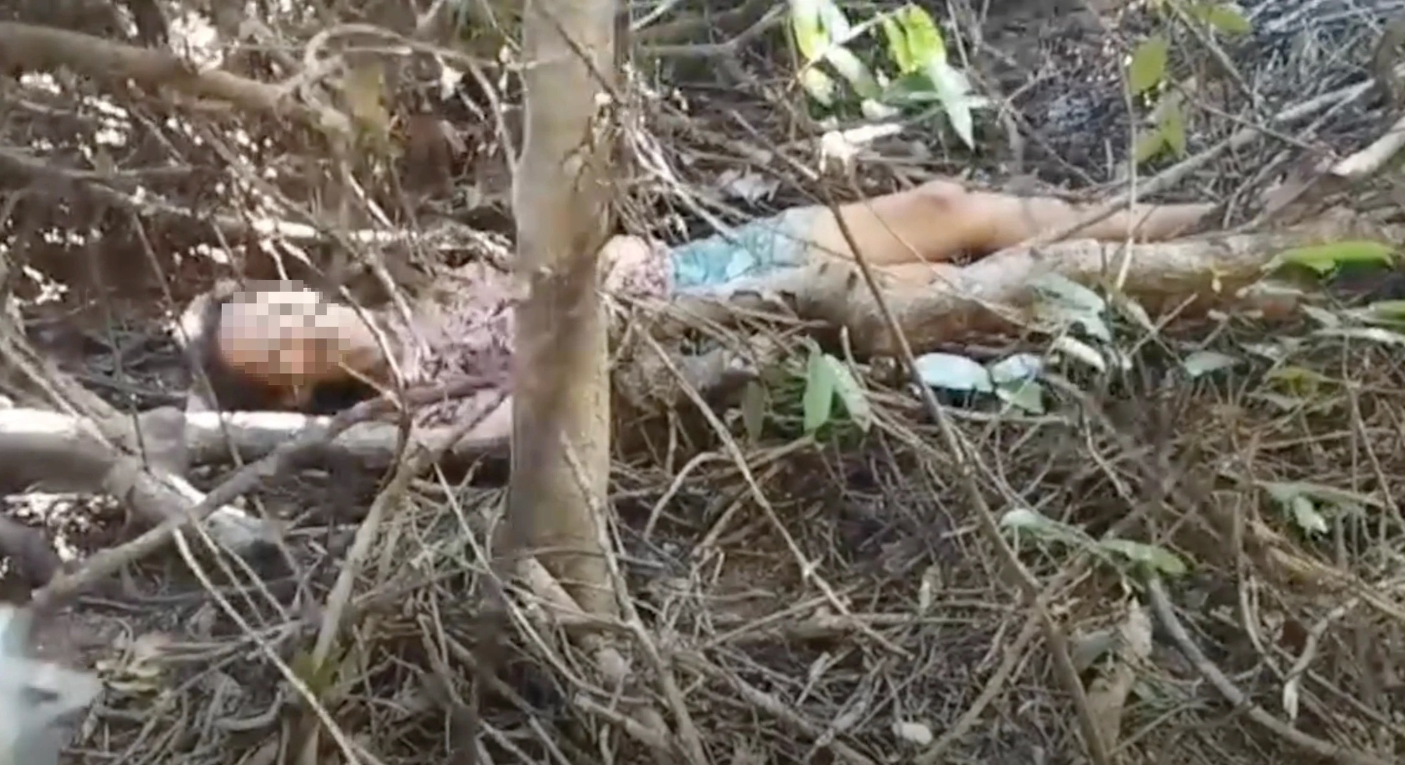 Giải cứu người phụ nữ mất t&iacute;ch 10 ng&agrave;y trong rừng s&acirc;u ở Gia Lai- Ảnh 1.