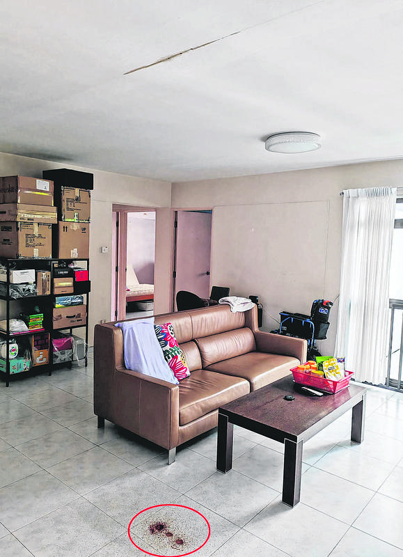 Vụ ph&aacute;t hiện cha v&agrave; con g&aacute;i tử vong trong 1 căn hộ ở Singapore: Chi tiết bất thường về thi thể người con- Ảnh 1.